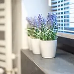Apartment Przestronne Premium Z Tarasem, Basenem I W Otoczeniu Przyrody Tuz Przy Morzu - 2homerent Rogowo (Gryfice)