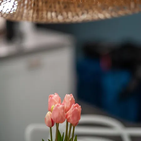 Appartamento Przestronne Premium Z Tarasem, Basenem I W Otoczeniu Przyrody Tuz Przy Morzu - 2homerent Rogowo (Gryfice)