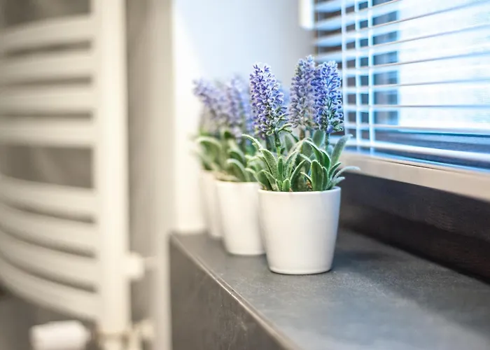 アパート Przestronne Premium Z Tarasem, Basenem I W Otoczeniu Przyrody Tuz Przy Morzu - 2homerent ロゴボ